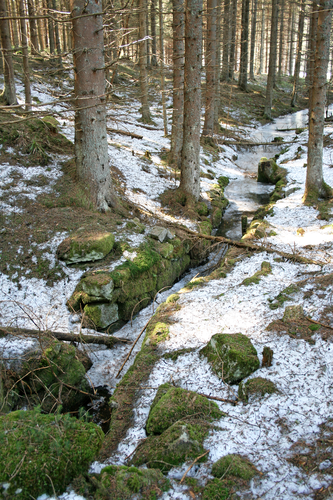 Glashütte im Bauernberg - Pocher