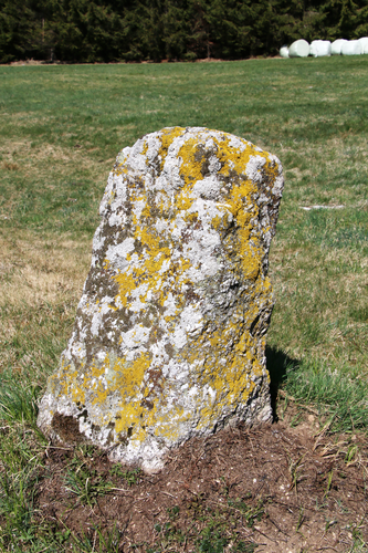 Grenzstein 2