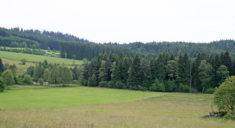 Torf: Liebensteiner Torfau