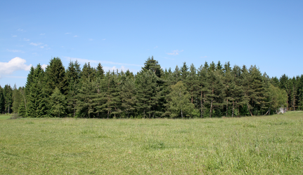 Torf: Lindner Torfau