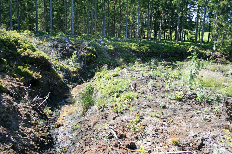 Torf: Lindner Torfau