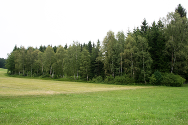 Torf: Brandner Torfau