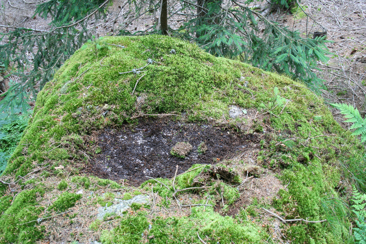 Schalensteine Haiderberg Schalen 2