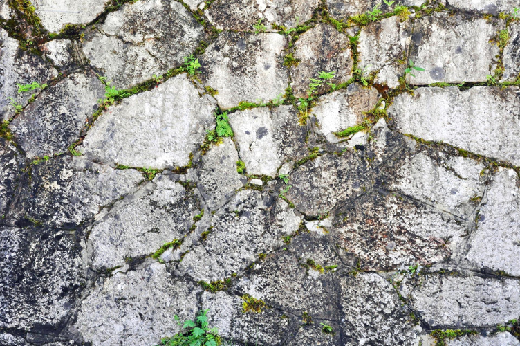 Stützmauer Salinenareal Lahn