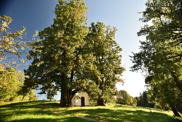 Hinteraigner Kapelle und Hausbild