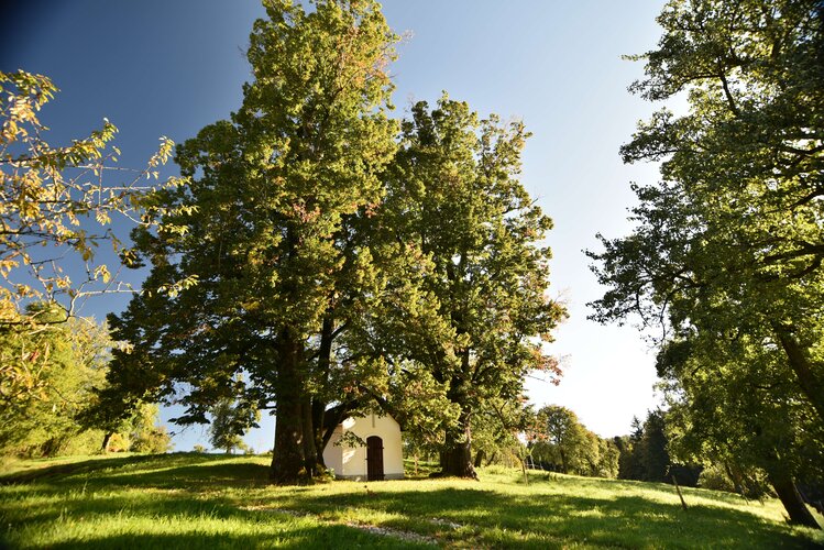 Hinteraigner Kapelle und Hausbild