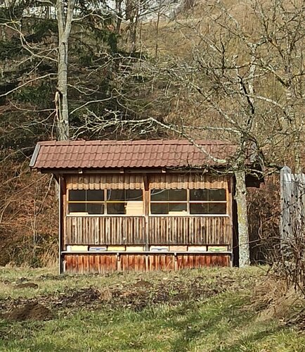 Bienenhaus Ferchtl