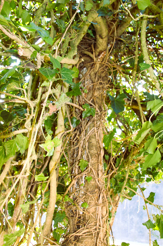 Wegkreuz in Kropfleiten