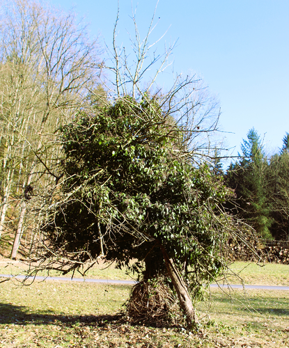 Wegkreuz in Kropfleiten