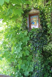 Schneider Bildstöckl