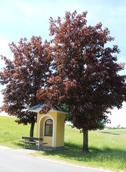 Stiglhuber-Kapelle in Unterviehbach