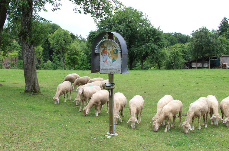 Reitbinder-Bildkreuz in Wölflhof