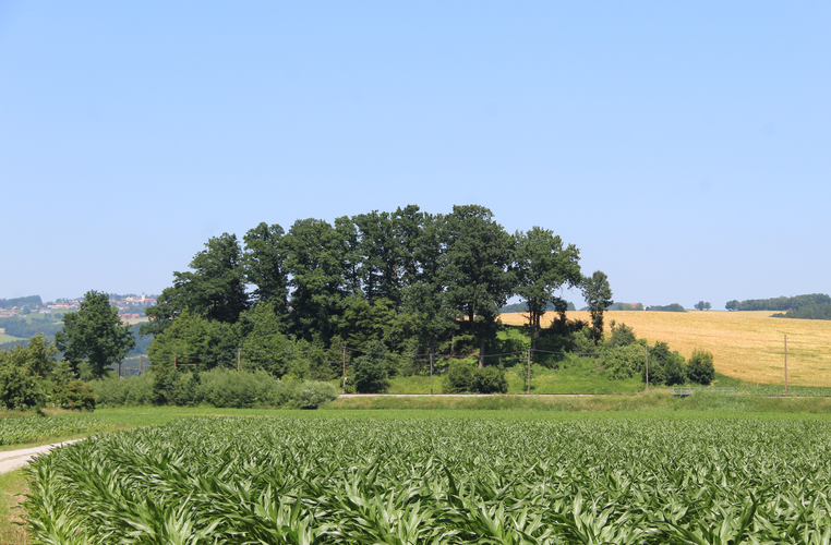 Kapelle im Pumperhölzl
