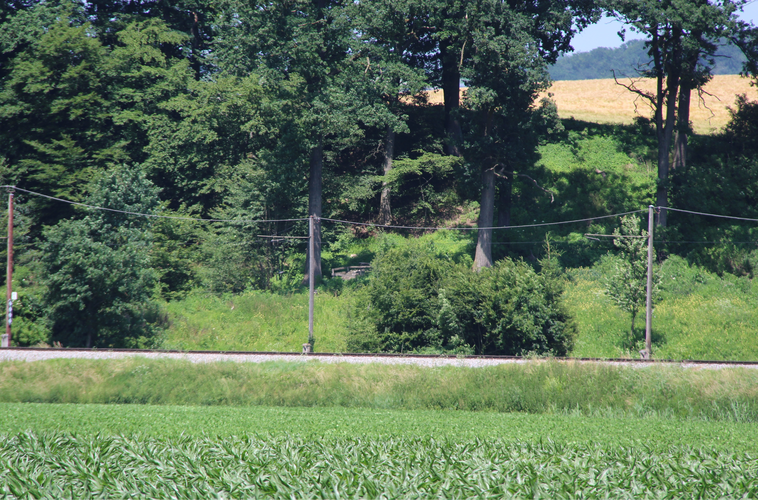 Kapelle im Pumperhölzl