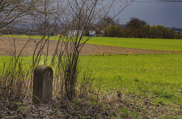 Grenzstein Jagdgrenze Spielberg