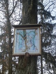 Baumbild Bruckermayr