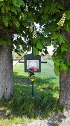 Weinberger Schuster - Kreuz