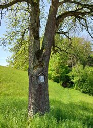 Unternfranz'n Bildbaum