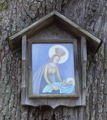 Unternfranz'n Bildbaum