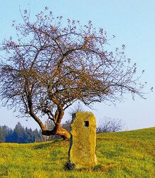 Lochstein-Gattersäule