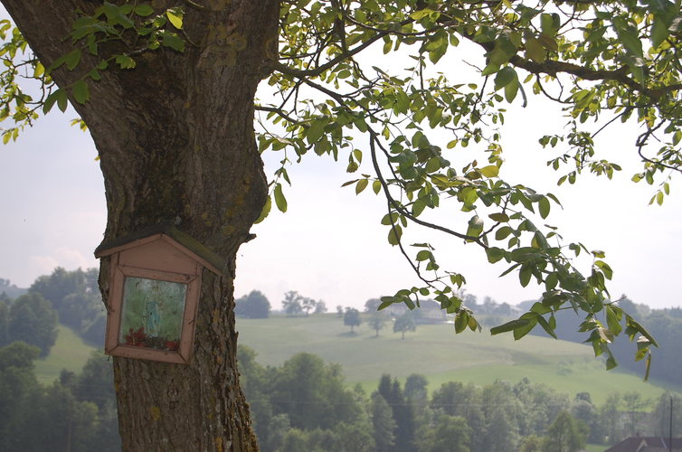 Unterriegler Bildbaum