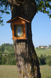 Unterriegler Bildbaum