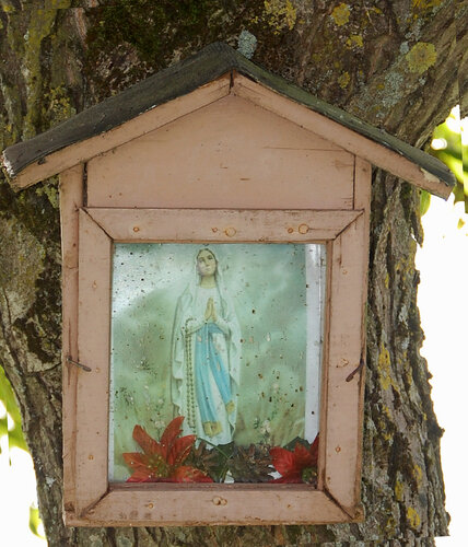 Unterriegler Bildbaum