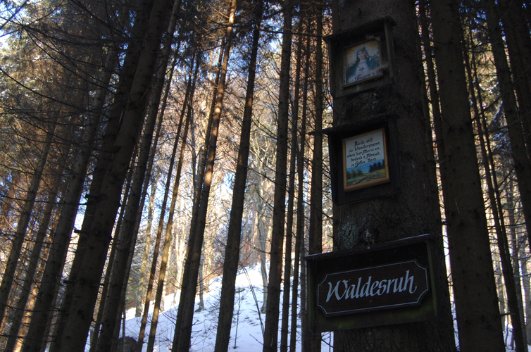Waldesruh Bildbaum