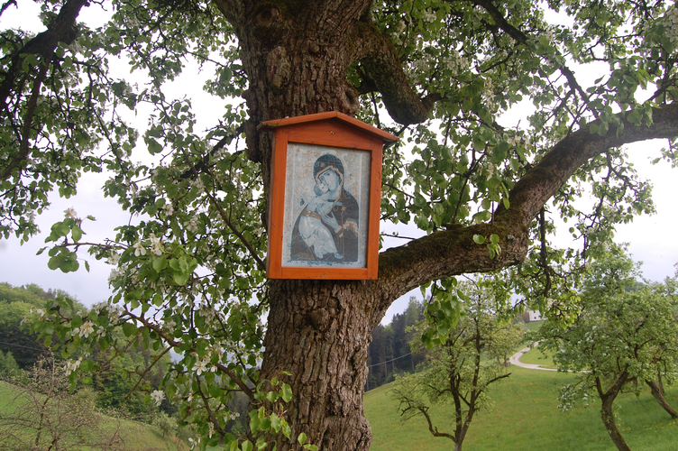 Vordergruber Bildbaum