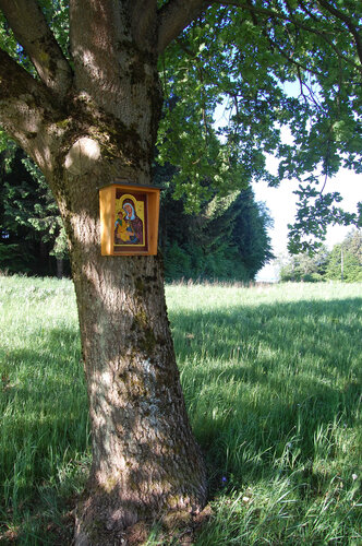 Hintergruber Bildbaum