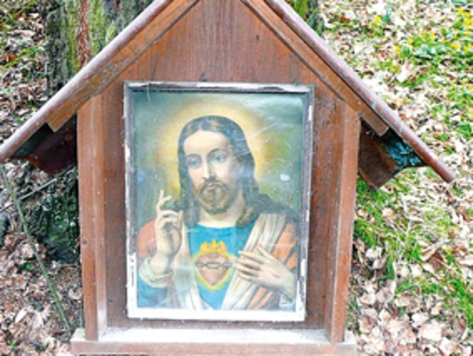 Grabsteiner Baumbild