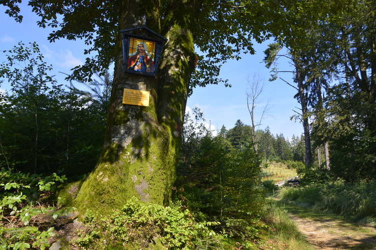 Kreuzleiten Bildbaum