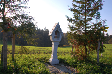 Bauernwieser Hl. Antonius