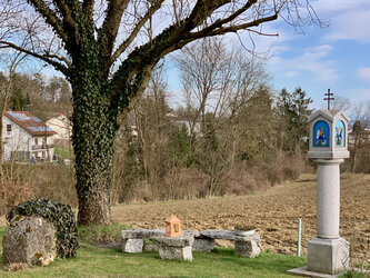 Bildstock Zeitling Rippatha