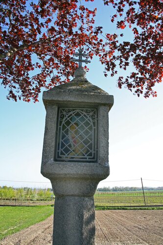 Schwarzes Kreuz, Großkopfertes Kreuz, Weißes Kreuz