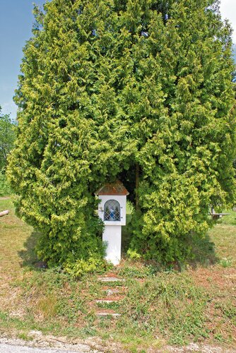 Wenigwinkler Bildstock