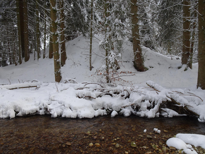 Riedlbachklause in der Winterleiten