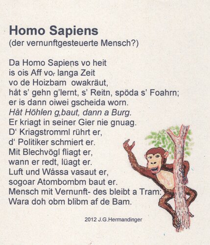 Homo Sapiens