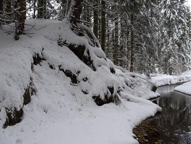 Riedlbachklause in der Winterleiten