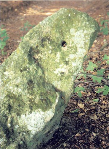 Lochstein im Fron Gemeinde Wernstein