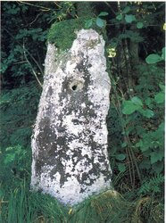 Lochstein Hamberg, Engelhaming