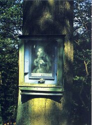 Baumbild Schwendt Hamberg