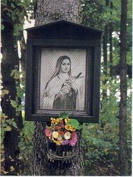 Baumbild im Hofinger - Holz