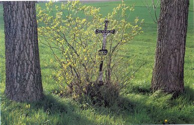 Feldkreuz beim Burgstall in Thalling