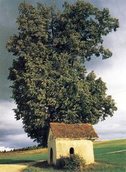 Kapelle Hamberg Sulzer-Kapelle