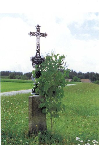 Wegkreuz beim Prischl in Edt Asing