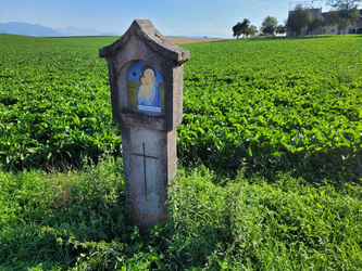 Pimmerlehner Marterl