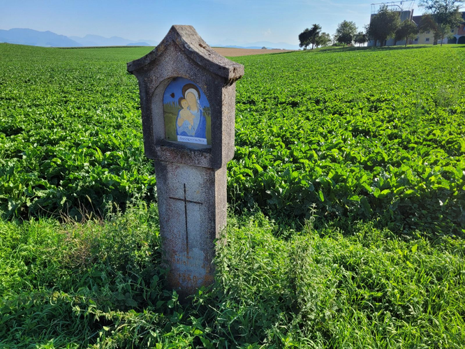 Pimmerlehner Marterl