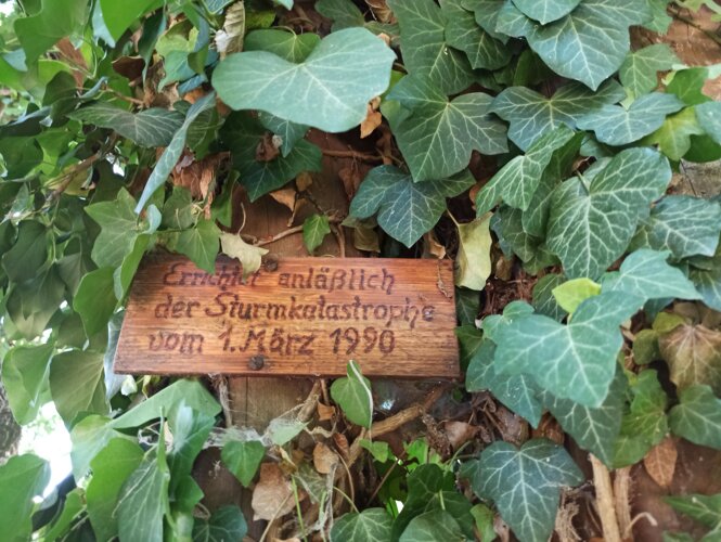 Holzbildstöckl im Diadiholz