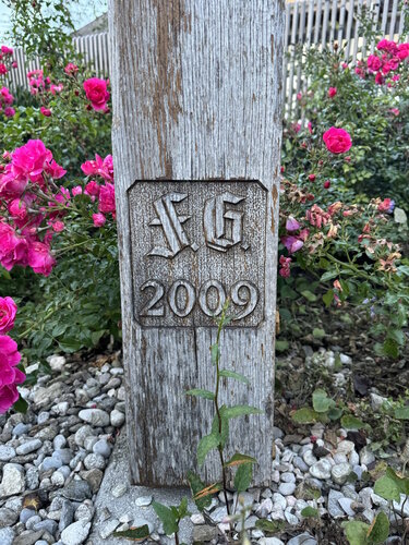 Grünling-Kreuz - Neu